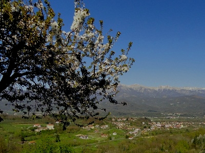 Primavera 2011